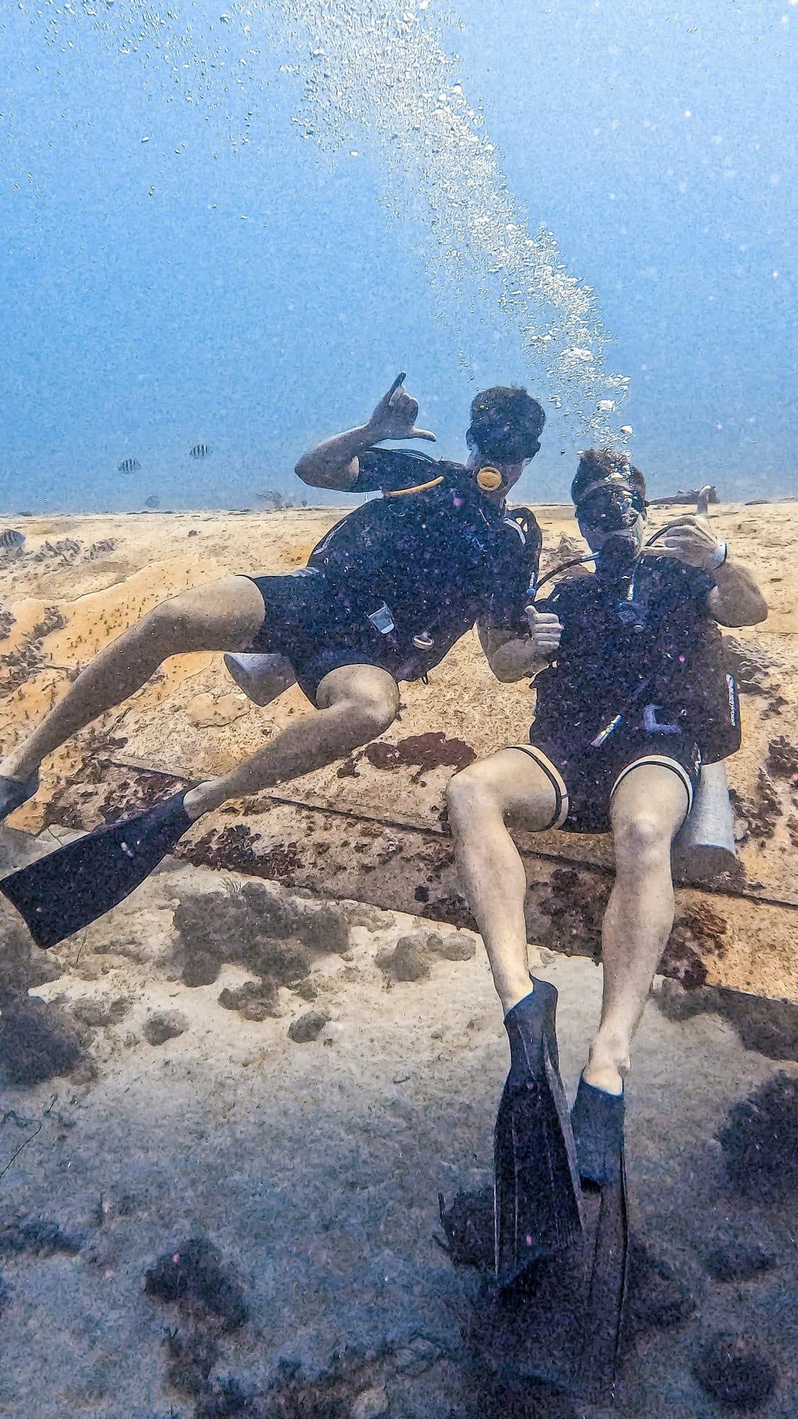 Two scuba divers underwater off Aruba