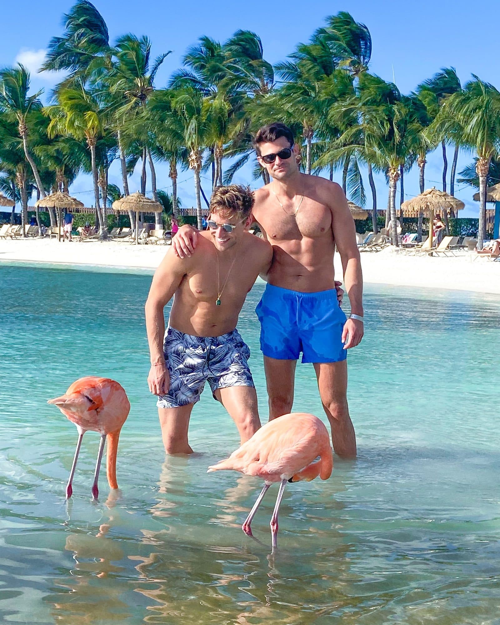 Billy and a friend standing with flamingos at Flamingo Beach