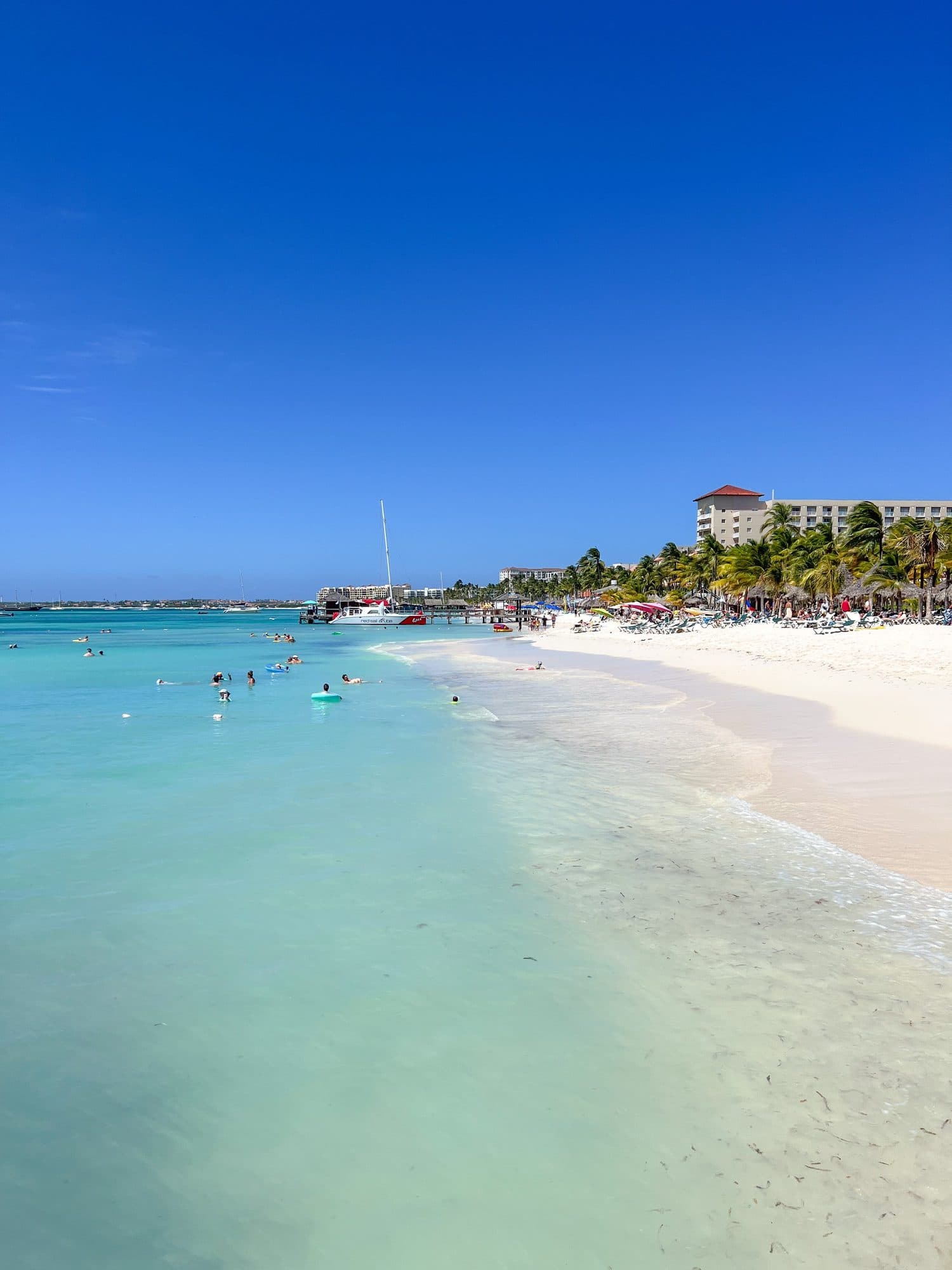 A quiet stretch of white sand and turquoise water on Aruba