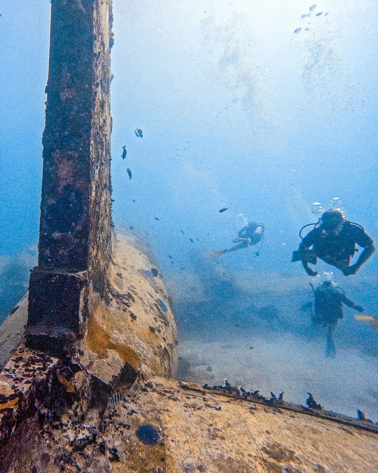 A diver exploring a shipwreck