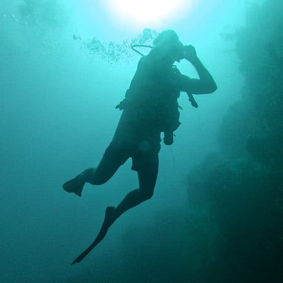 A scuba diver silhouetted in blue water