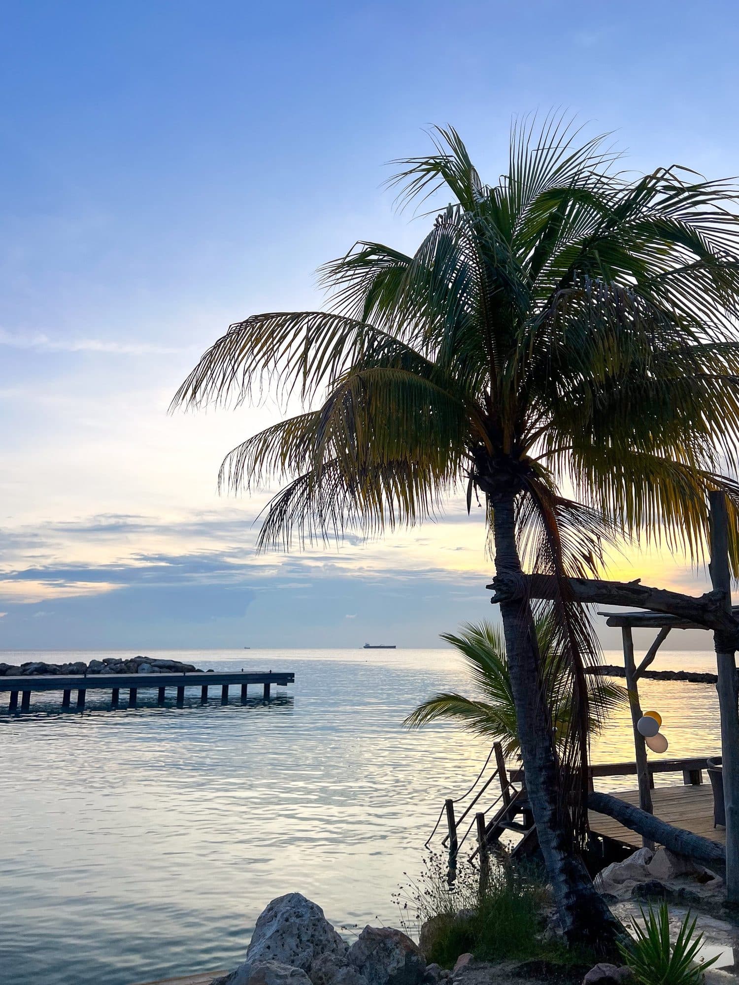 Sunset behind a palm tree on the Curaçao coast