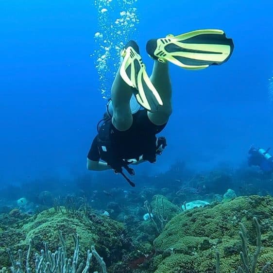 A diver swimming over the reef
