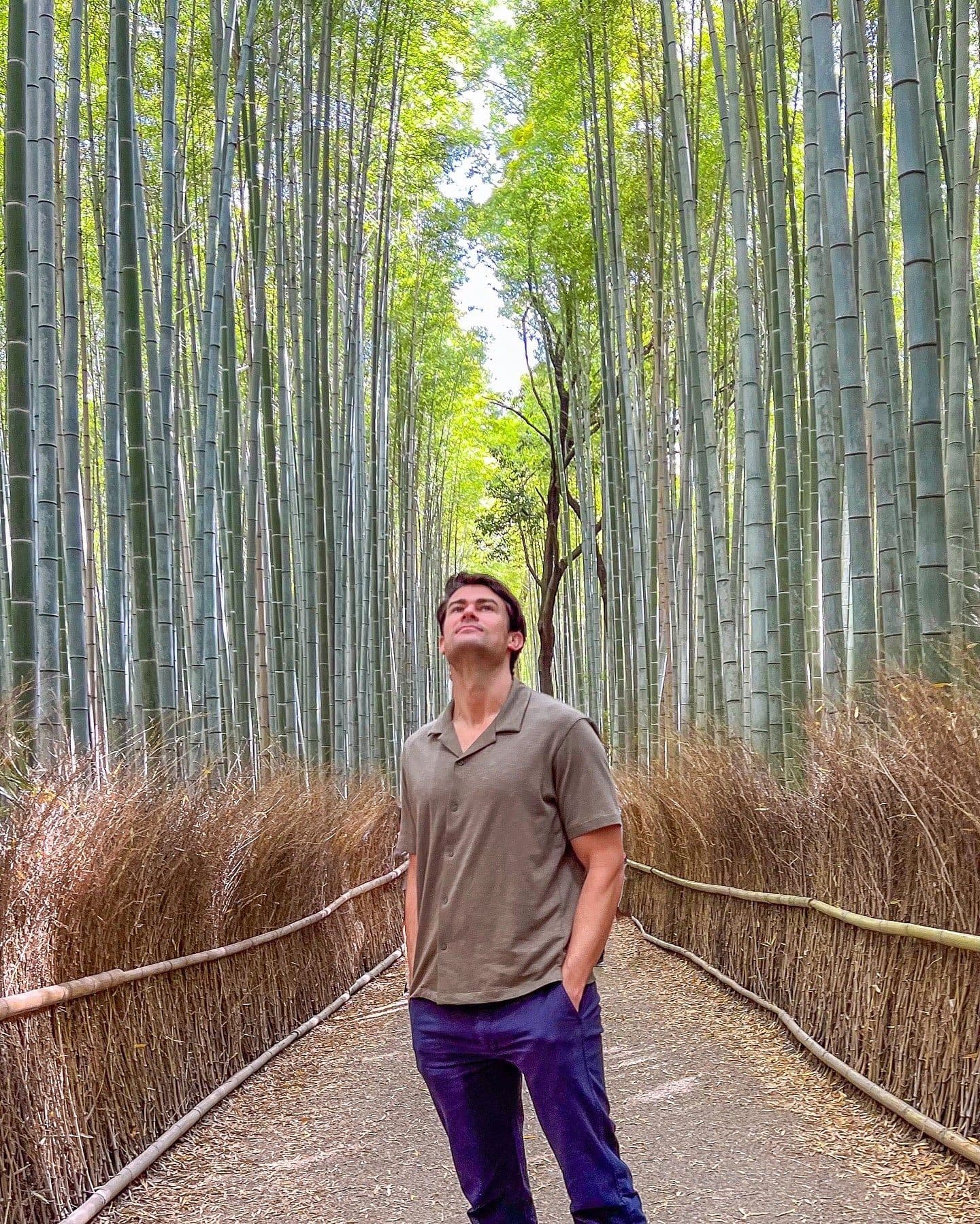 Billy looking up in the Arashiyama Bamboo Grove