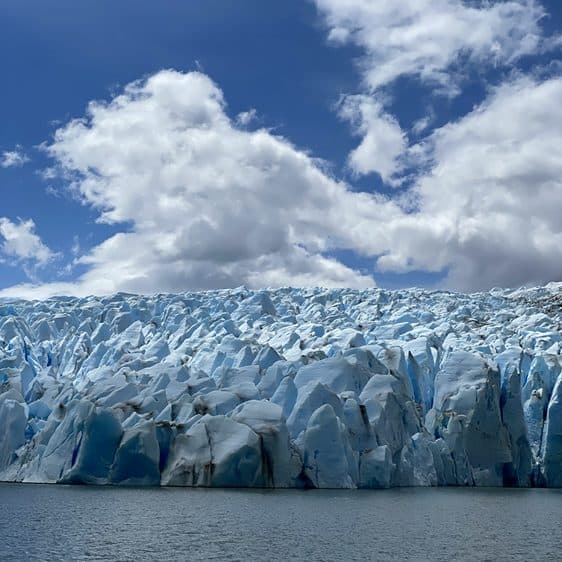 A close view of Grey Glacier's ice